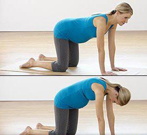 à¦¹à¦¾à¦à§ à¦à¦¬à¦ à¦¹à¦¾à¦¤à§ à¦­à¦°