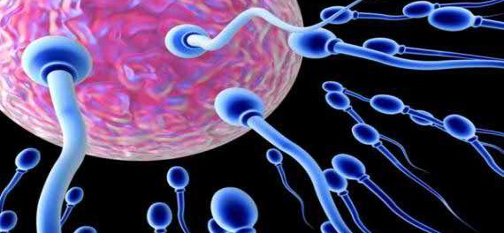 ছেলে বা মেয়ে সন্তান চাইলে যেটা করা প্রয়োজন sele ba meye sontan caile zeta kora proyojon